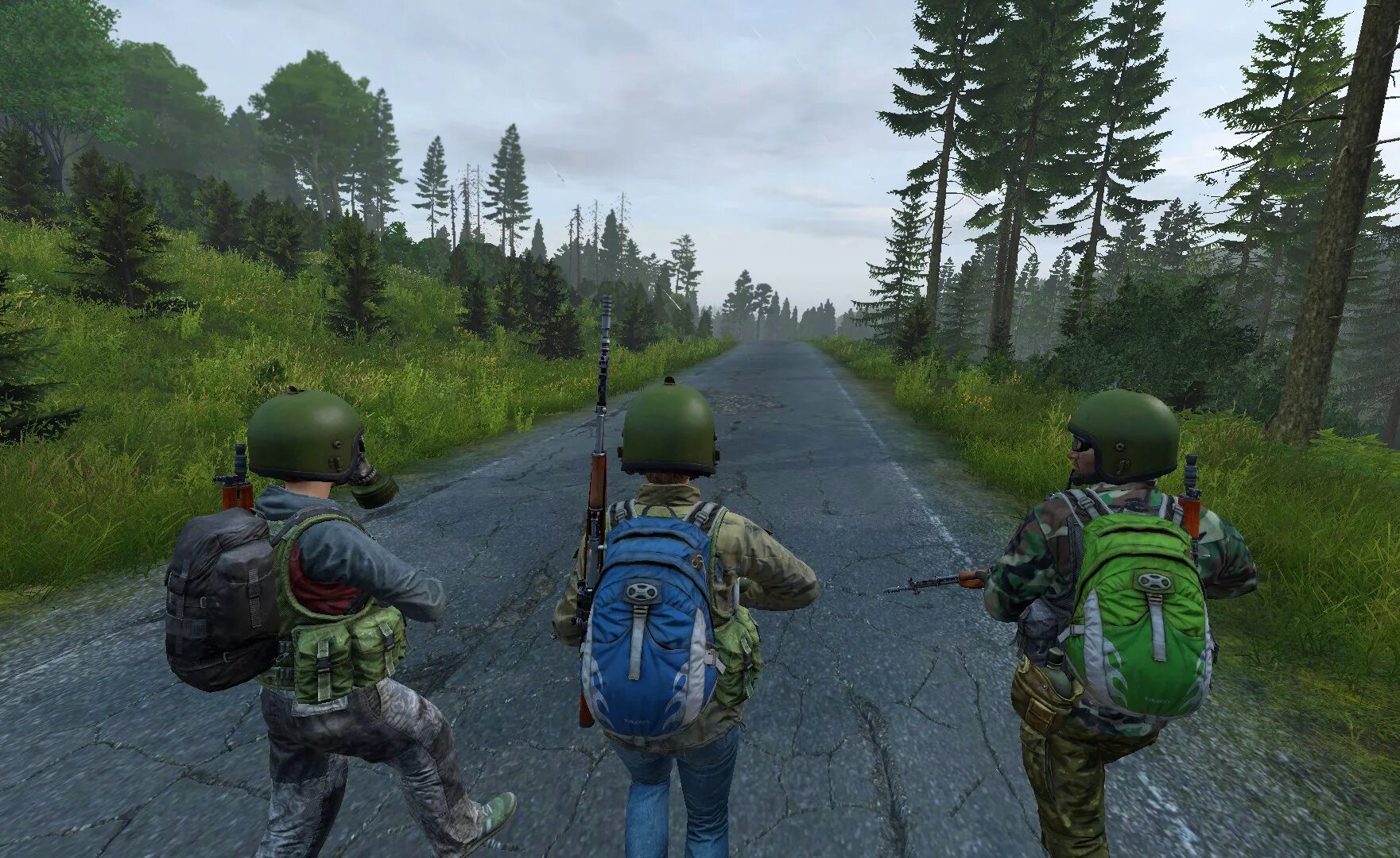 Dayz client. В3с дейз. DAYZ армия Черноруссии. Арма 2 Черноруссия. Арма 3 милиция Черноруссии.