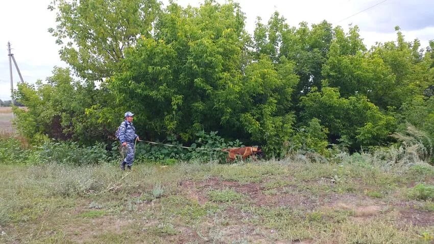 Погода плотников 2 волгоградской области михайловский район. Хутор Черемухов Волгоградская область Михайловский район. Хутор Черемухов Волгоградская область Михайловский район коровники. Сенной Михайловский район Волгоградская область. Х Рогожин Михайловского района Волгоградской области.