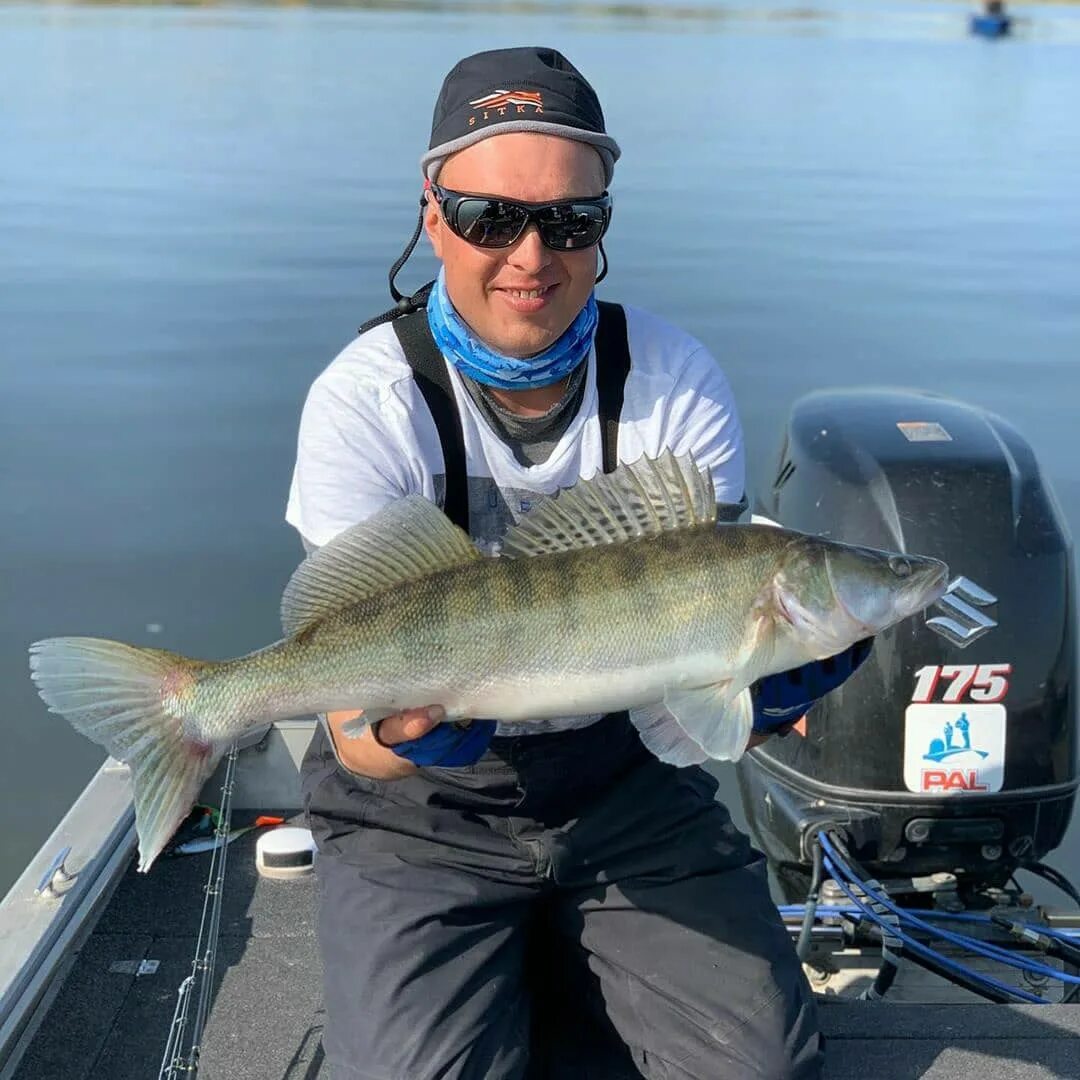 Зандер Судак. Джиговый спиннинг на судака. Kzn Fishing рыболовная база. Судак люди. Кзн фишинг в контакте казань рыболовный клуб