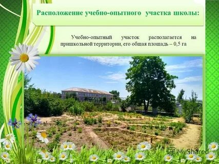 Опытная с маленьким