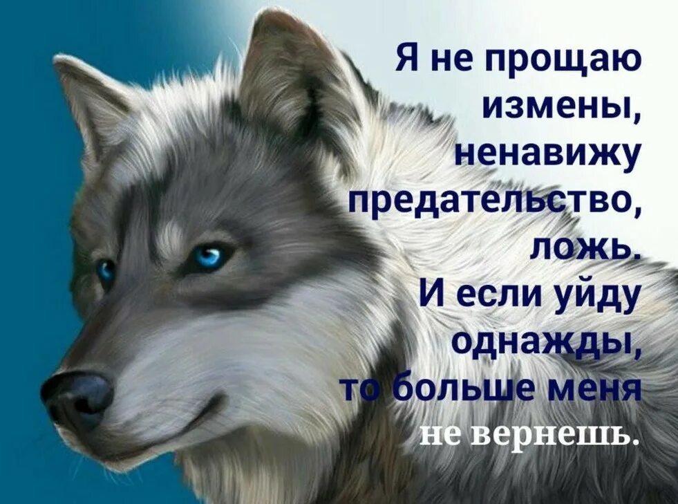 На вашу ложь мне просто. Ненавижу ложь и обман цитаты. Открытки о предательстве и обмане. Открытки предательство и ложь. Цитаты со смыслом про обман и предательство.