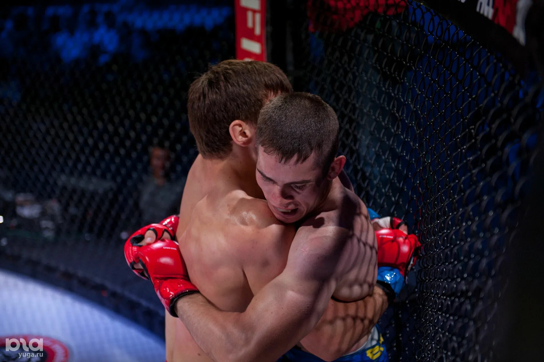 ближайший турнир смешанных единоборств. смешанные единоборства дети. мма. ближайший турнир смешанных единоборств. мма.