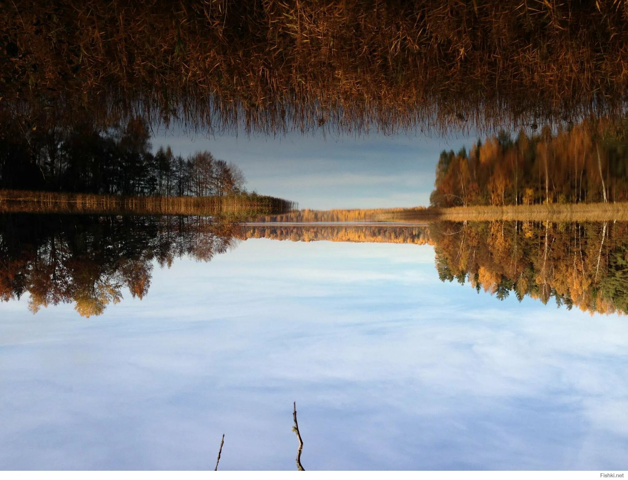 Зеркальные озера в псковской. Зеркальные озера в псковской. Зеркальное озеро псков. Зеркальное псков. Ужинское озеро псковская.