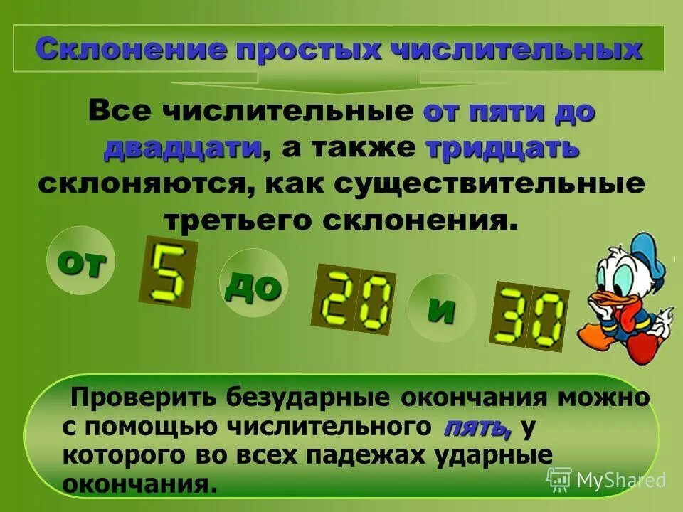 Склонение имен числительных обозначающих целые числа. Числительное склонение числительных. Числительные обозначающие целые числа склонение. Формы числительных. Числительные обозначающие целое число.