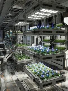 Plant sci