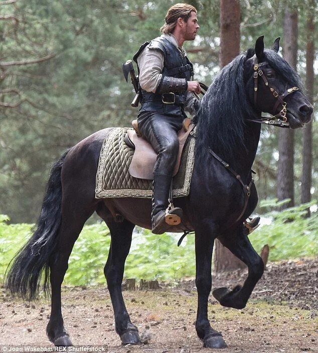 Рыцари на конях. Рыцарь на коне. Рыцарская лошадь.