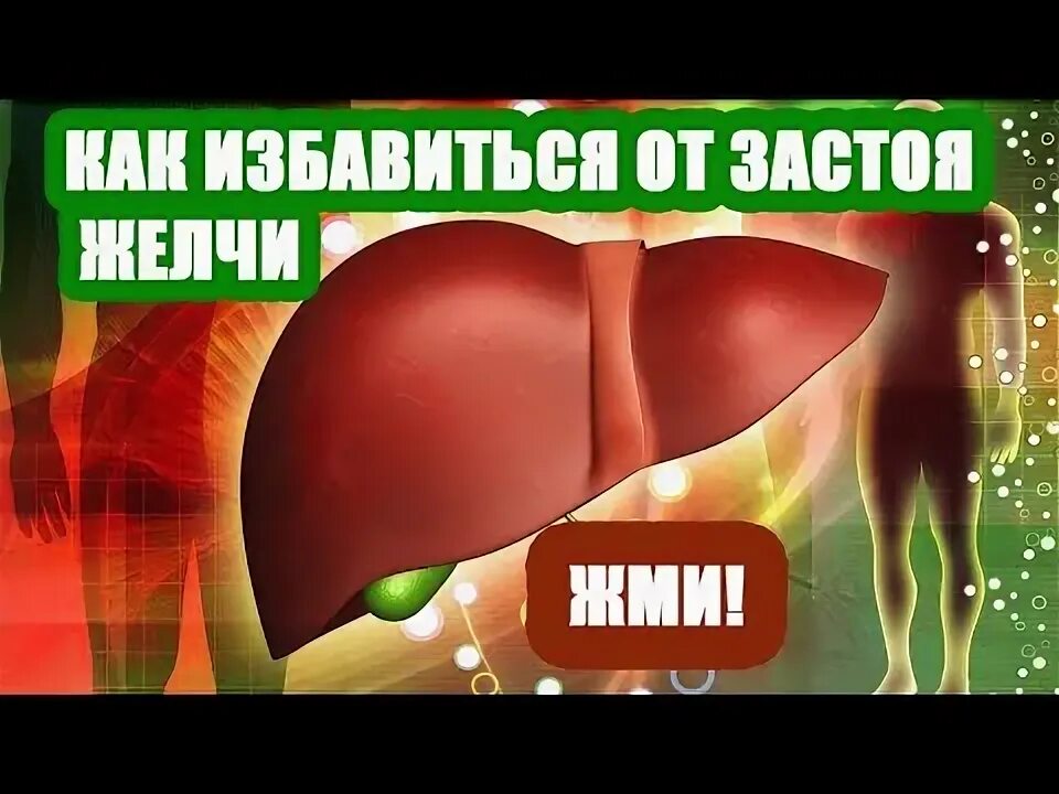 Лечение застоя желчного пузыря препараты. Застойный желчный пузырь. Желчегонный пузырь. Застой желчи в желчном.