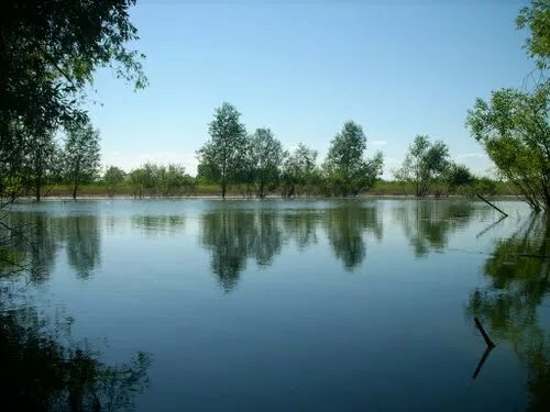 Рп5 баево алтайский край