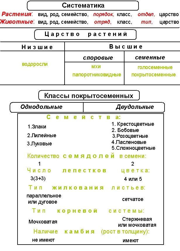 Таблицы схемы и т д. Классификация растений схема биология. Систематика и классификация растений. Систематика царства растений таблица. Классификация покрытосеменных растений схема.