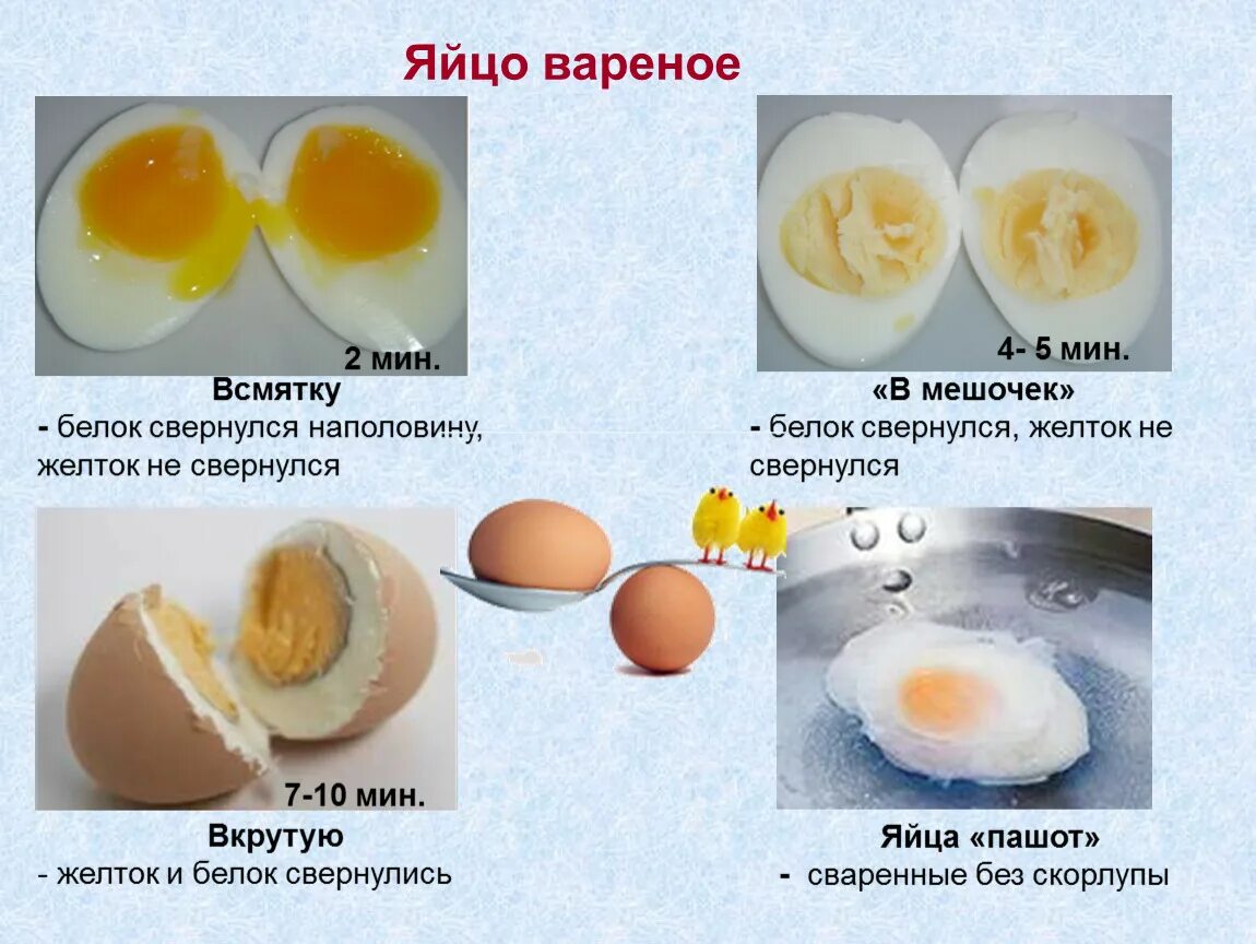 Можно ли есть варен яйца. Яйцо всмятку и пашот разница. Варка яиц. Виды отваренных яиц. Сколько варить яйца.