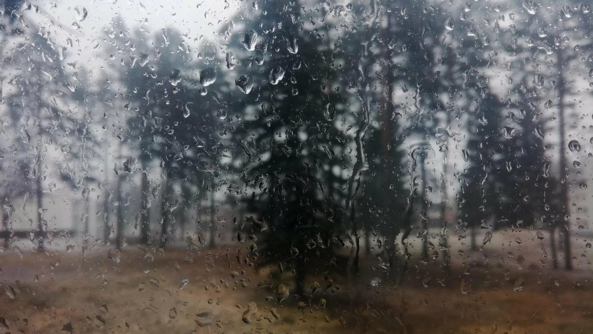 Кипящий дождь. Дождь. Ливень. Дождь за окном. Мокрое стекло.