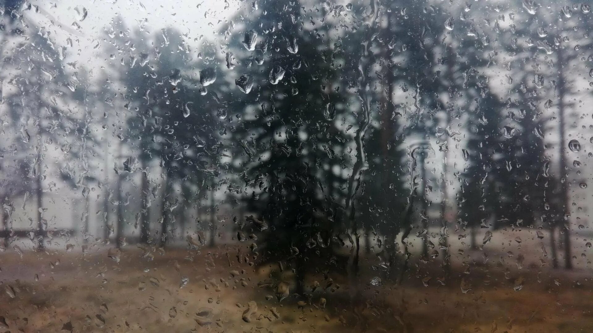 3 раза дождь. Ливень. дождь за окном. дождь в лесу. обои дождь.
