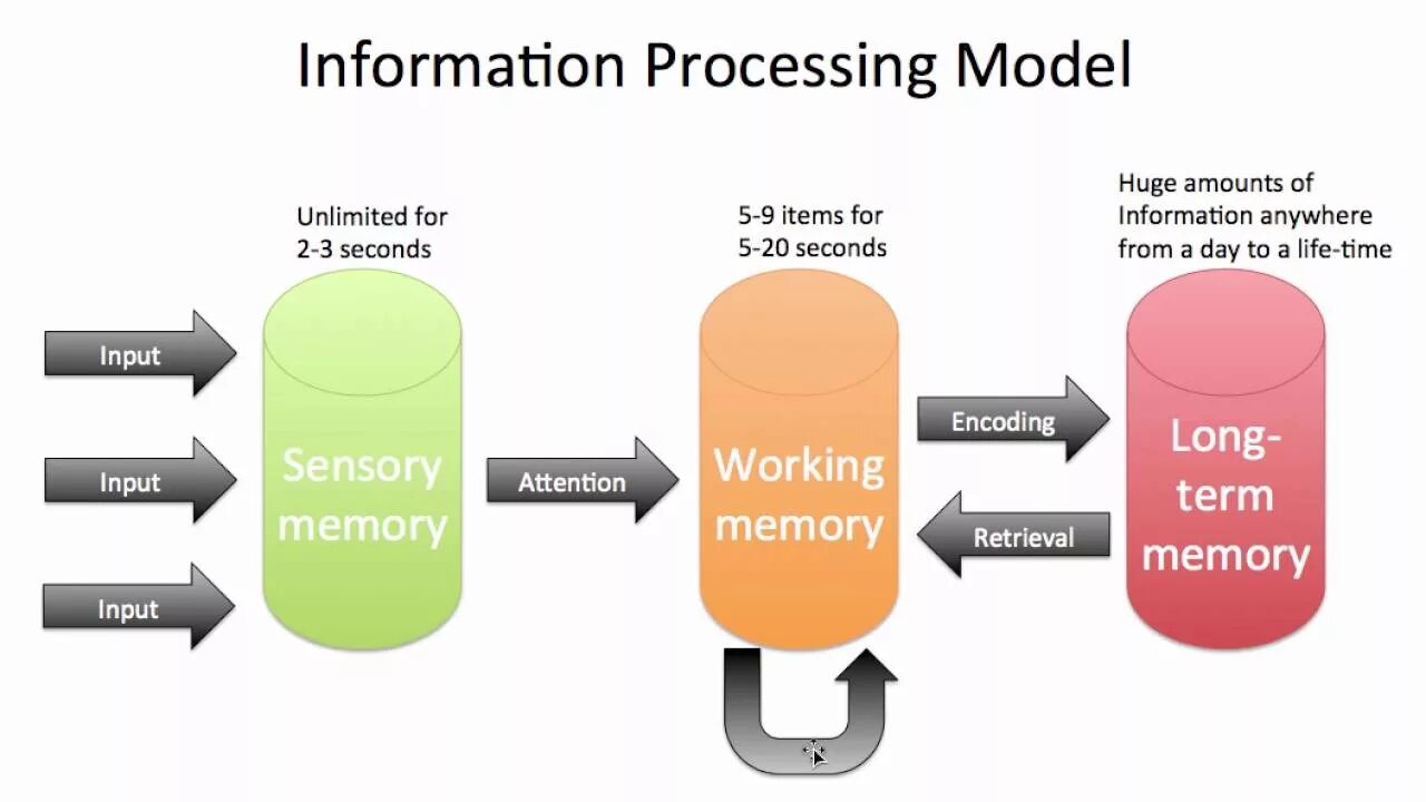 Information processing. Information processes. Information and information processes. Processing примеры.