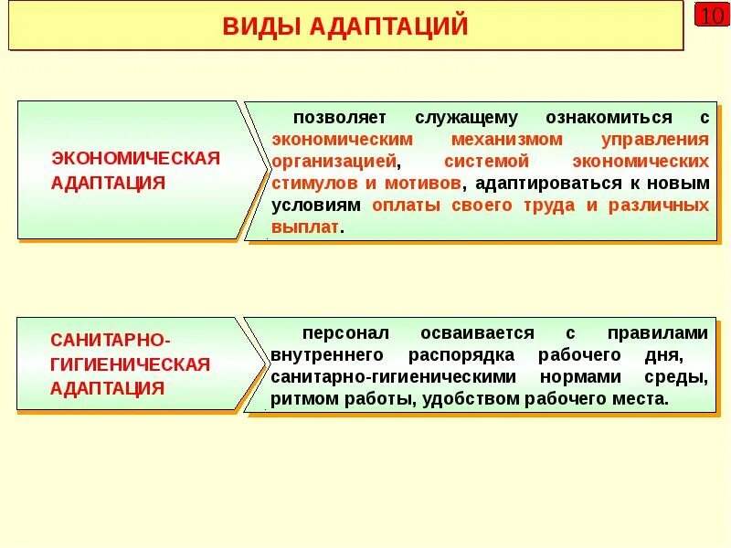 Экономическая адаптация пример. Виды адаптации экономическая. Экономическая адаптация персонала. Виды адаптации в экономике.