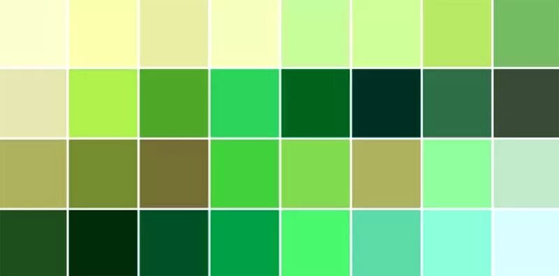 Теплые оттенки зеленого. Теплые оттенки зеленого цвета. Теплые оттенки зеленого цвета. Теплый зеленый цвет. Оттенки зелёного цвета.