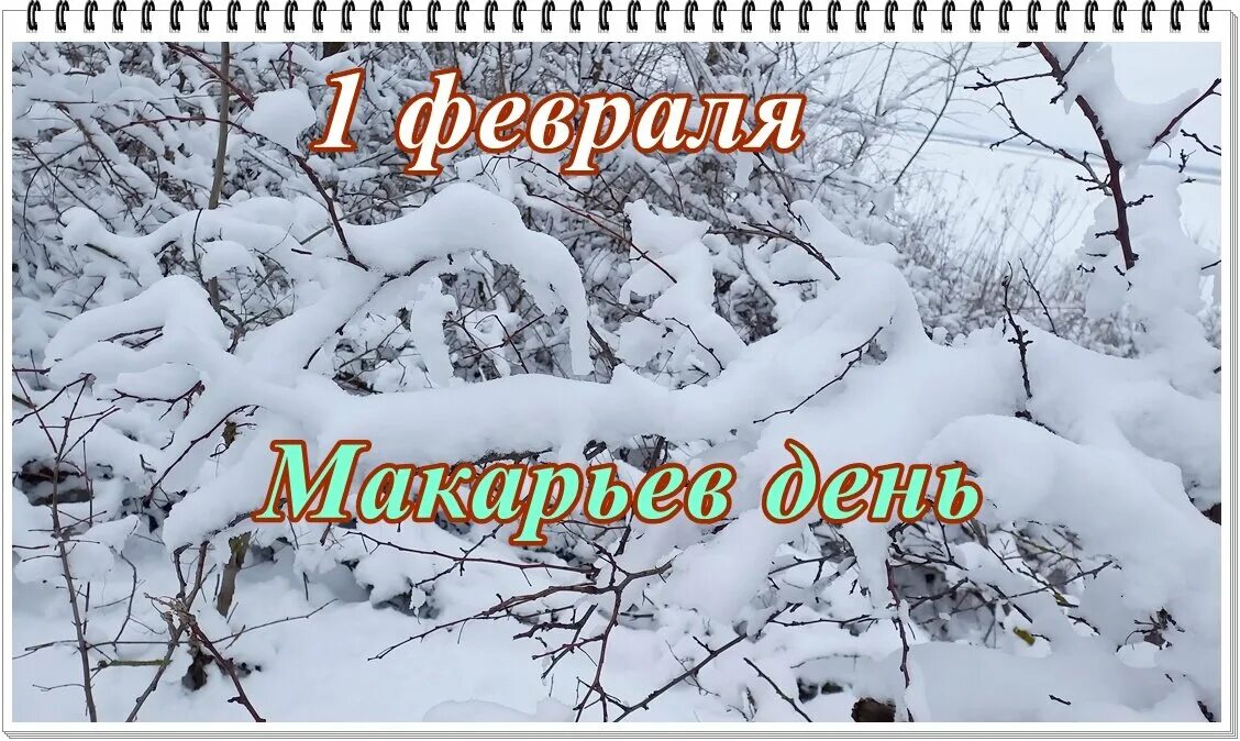 Праздник 1 февраля день. 1 Февраля Макарьин день. 1 Февраля Макарьев день народный календарь. Первое февраля Макарьев день.