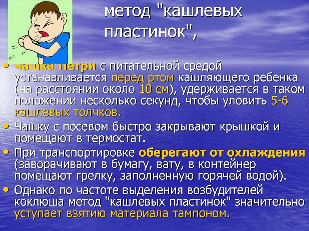 Кашлел или кашлял как пишется. Коклюш методом кашлевых пластинок. Метод кашлевых пластинок. Взятие материала на коклюш методом кашлевых пластинок. Метод кашлевых пластинок при коклюше.