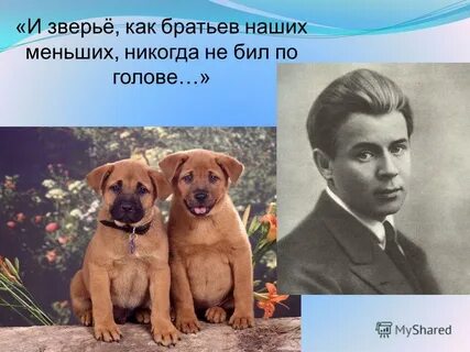 Есенин про собаку