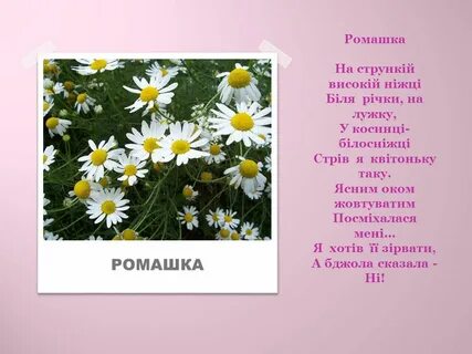 Июнь на белорусском