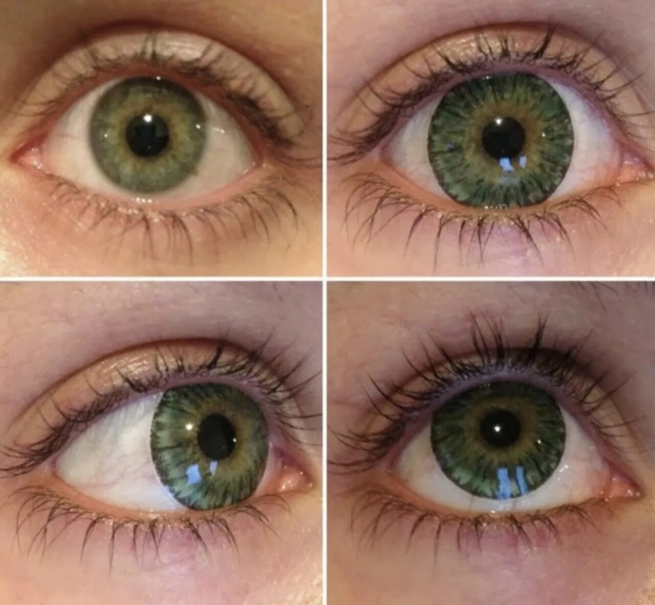 Линзы в глаза операция. Цветные линзы для глаз. Зеленые линзы. Цвет глаз. Цветные линзы на зеленые глаза.