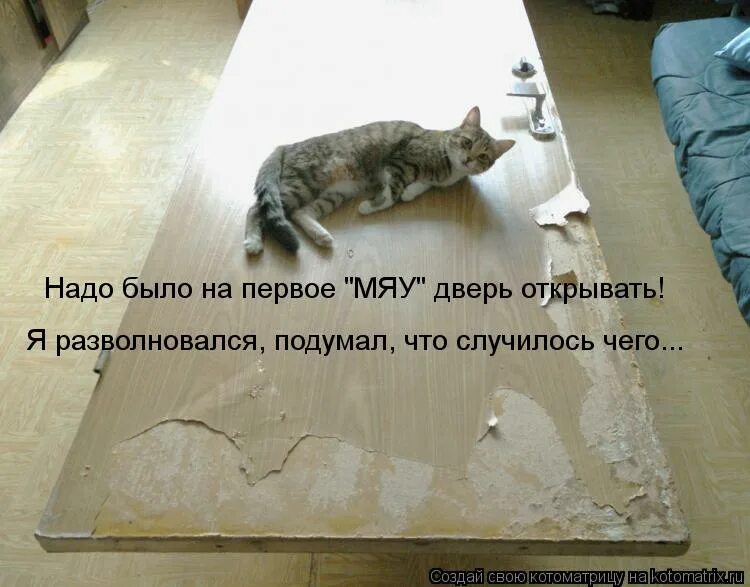 Пудель маршак. Сказала открой открой. Стих про буфет. Сказала открой открой. Подарок открой когда подруге.