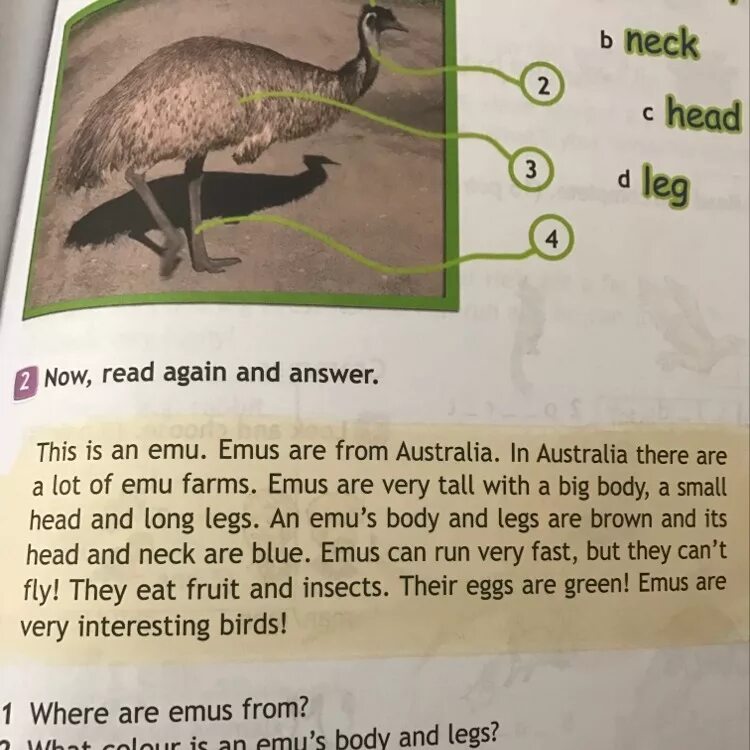 3 read and answer