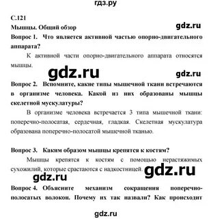 Биология 6 класс стр 121 вопросы