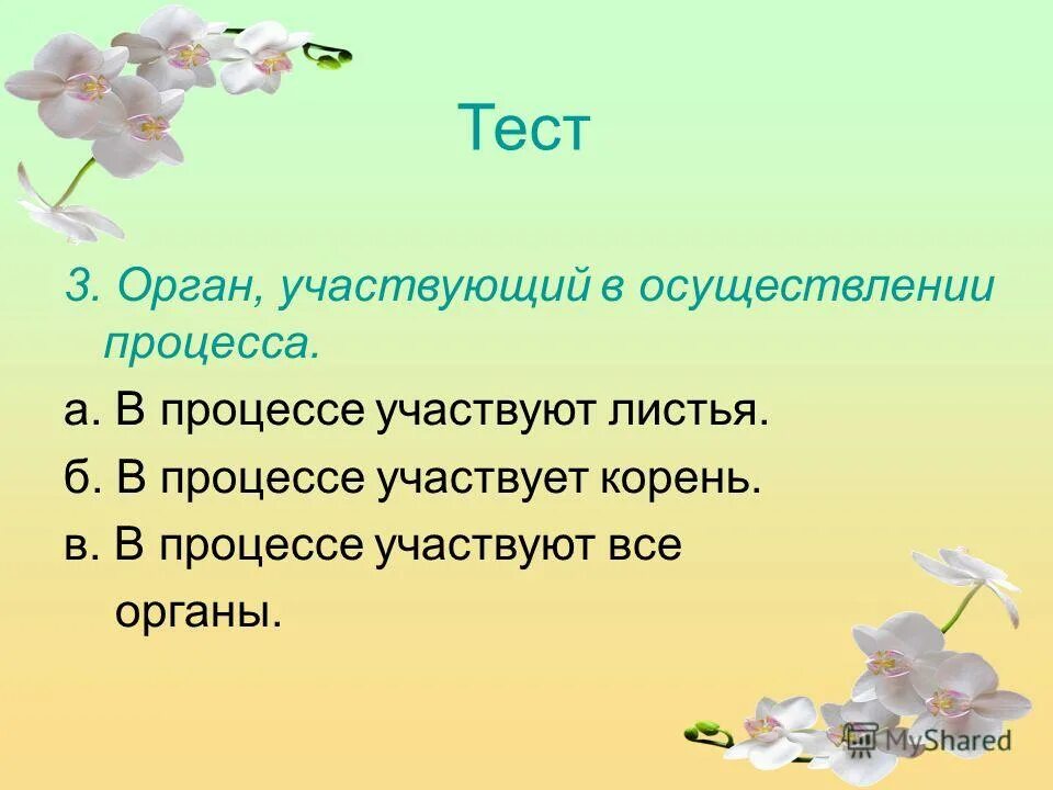 зоны корня у растений. схема видоизменения корней 6 класс. участки корней. вегетативное размножение растений луковицами. участвовать корень.