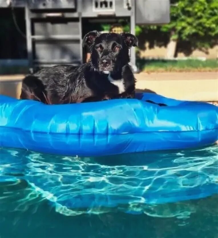 Boot pool