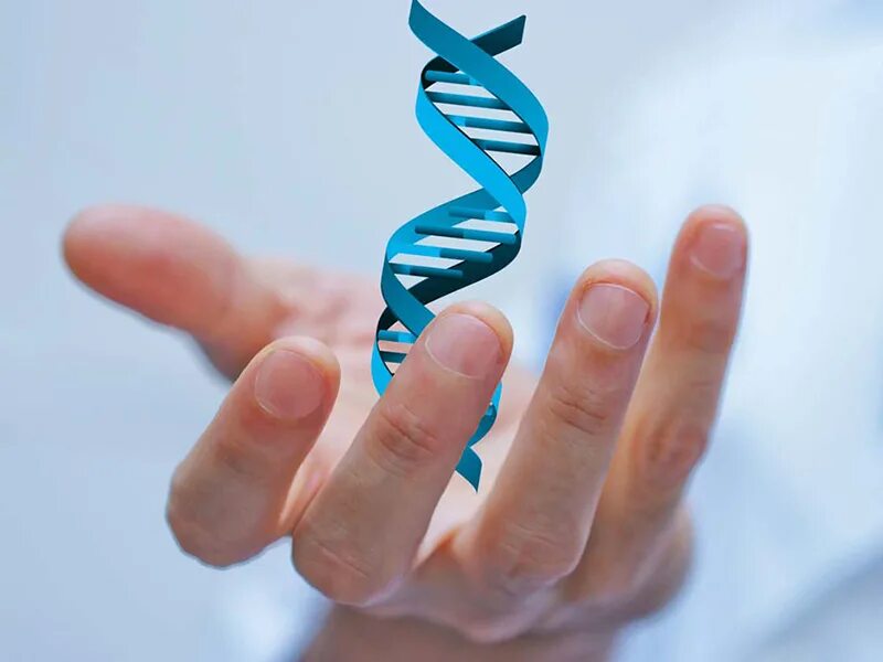 Как можно сделать тест днк. Днк тест. днк тест фото. dna test. картинка сбор днк теста.