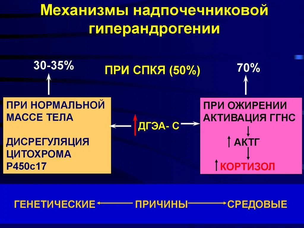 Кок при спкя. Патогенез СПКЯ. Надпочечниковая гиперандрогения. Надпочечниковая форма гиперандрогении. Гиперандрогения при СПКЯ.