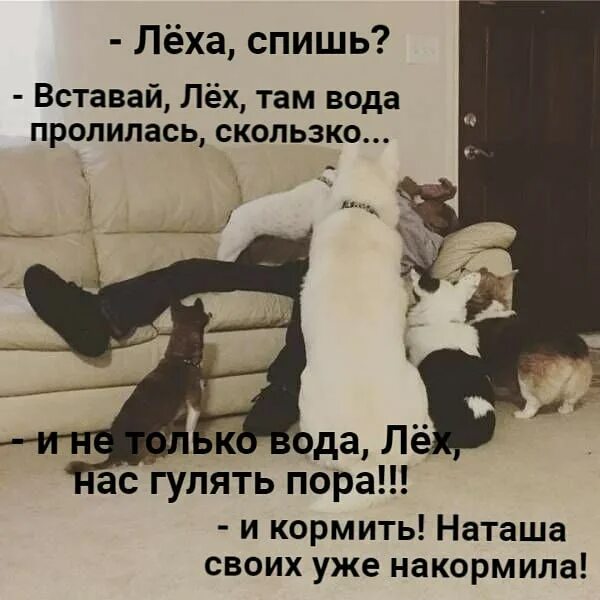 Катя заснула только под утро дзен рассказ. Утро одно неловкое движение и ты. Катя заснула между олегом вчера. Фотосессия в постели. Девушка проснулась.
