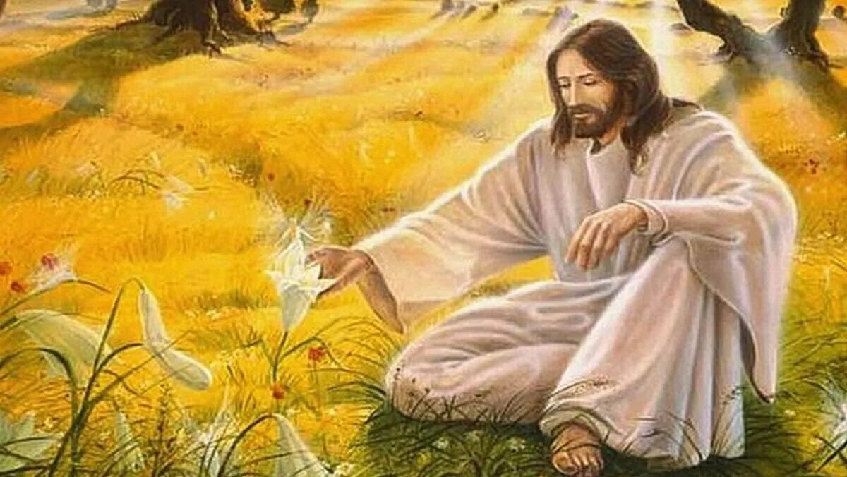 Сотворение мира богом. Бог и человек". Мир господа. Христос творец мира. Бог в небе.