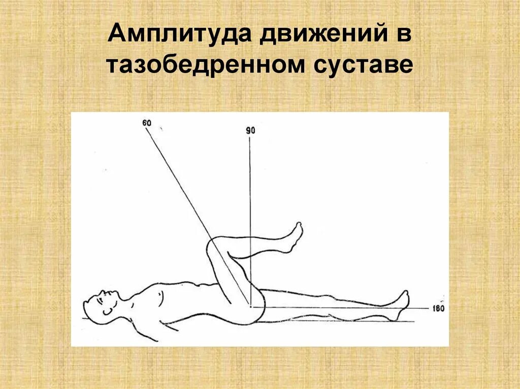 Амплитуда движений в тазобедренном суставе. Амплитуда движения это. Норма движения в тазобедренном суставе. Амплитуда движений в суставах. Максимально возможная амплитуда движений