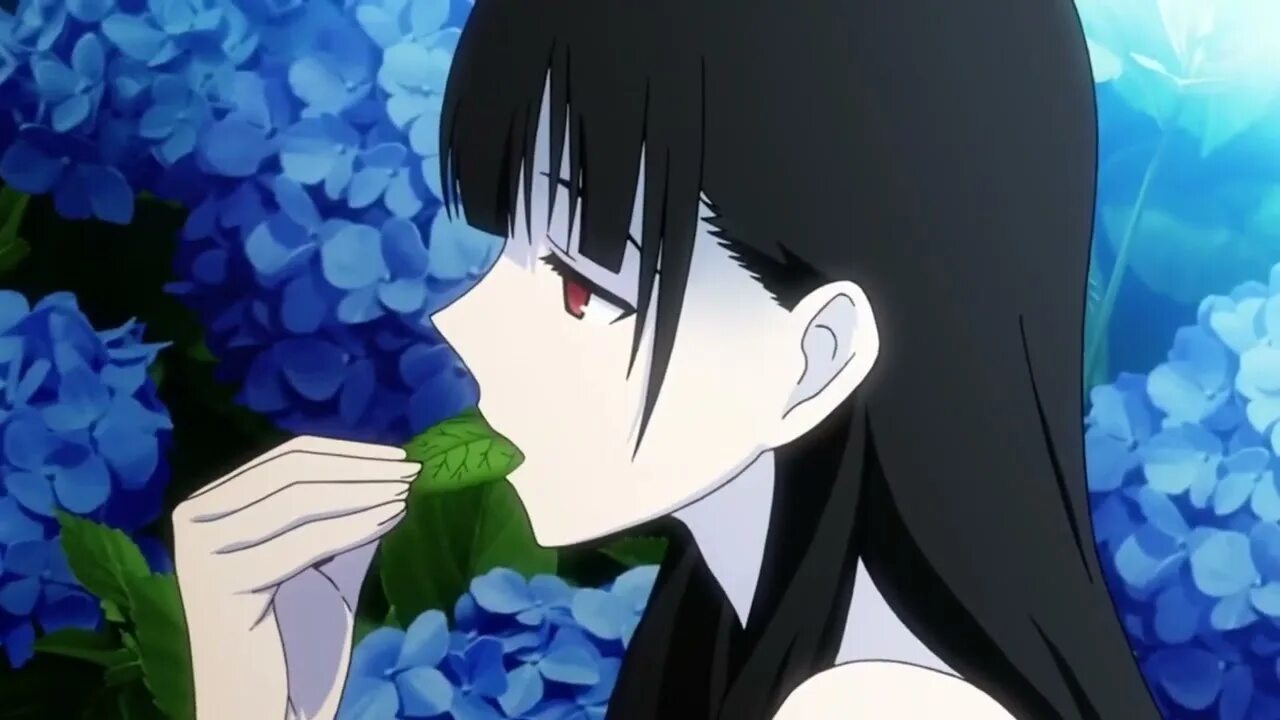 Sankarea. Sankarea. Sankarea. Санка рэа зомби. Санка рея.