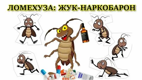 Ломехуза