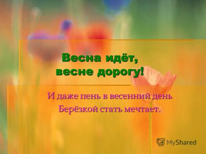 И даже пень в апрельский день березкой. И даже пень в весенний день. И даже пень в весенний день березкой снова стать мечтает. И даже пень в апрельский день. Песня и даже пень в весенний день березкой снова стать мечтает.