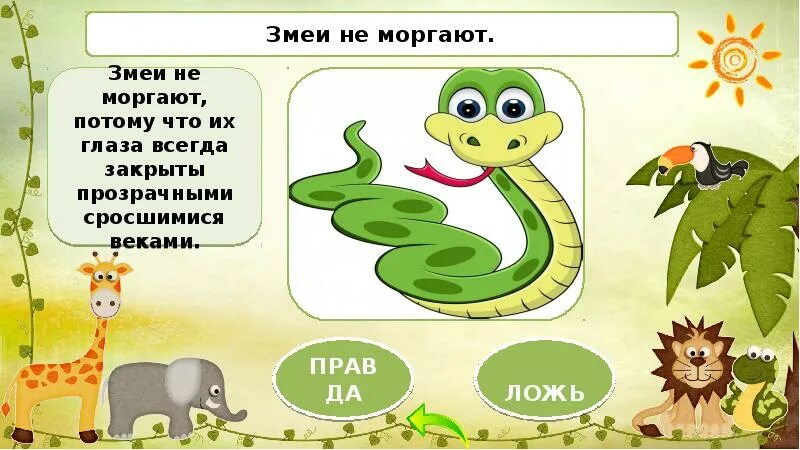 2 вопроса в мире животных. 3 вопроса в мире животных. верю не верю мир животных. викторина в мире животных петерсон. вопросы для викторины в мире животных 3 класс змеи.