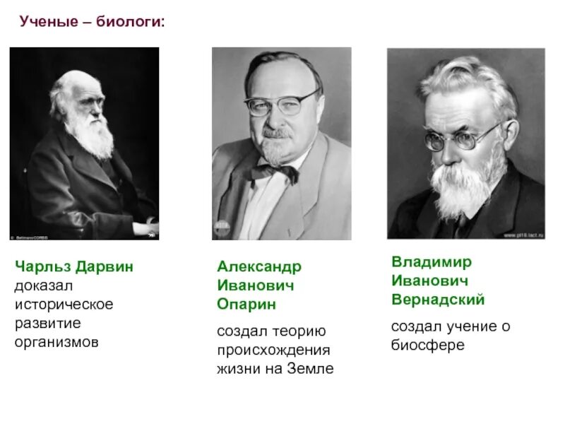 Открытия в биологии ученые и их открытия. Ученые биологии и их открытия 5 класс. Ученые в биологии и их вклад в науку. Известные ученые биологи.