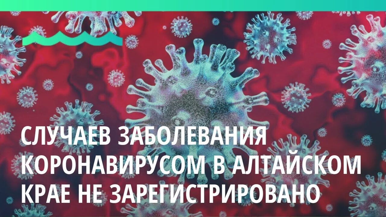 Самая позитивная картинка коронавируса. Коронавирус в алтайском крае ситуация на сегодня. Коронавирус в алтайском крае ситуация. Коронавирус в алтайском крае ситуация. Коронавирус в алтайском крае на сегодня по городам и районам сегодня.