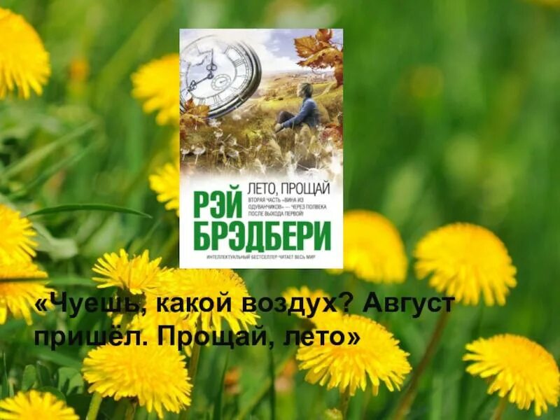 к трем часам дня 25 августа воздух. часы наглядное пособие для детей. разница во времени. задание впр 7 класс математике. к трем часам дня 25 августа воздух.