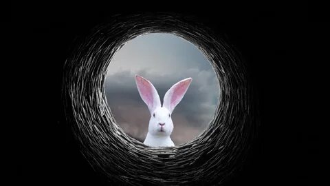 Rabbit hole deco