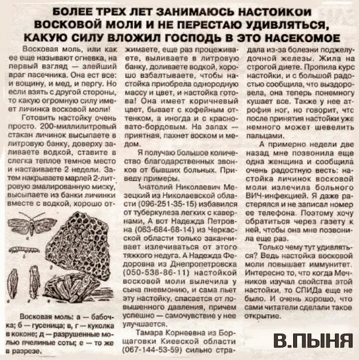 Как принимать настойку восковой. Настойка личинок восковой моли огнёвки. восковая моль настойка применение. огневка настойка восковой моли. настойка огневки восковой моли применение.