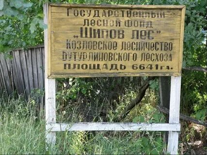 Город шипов