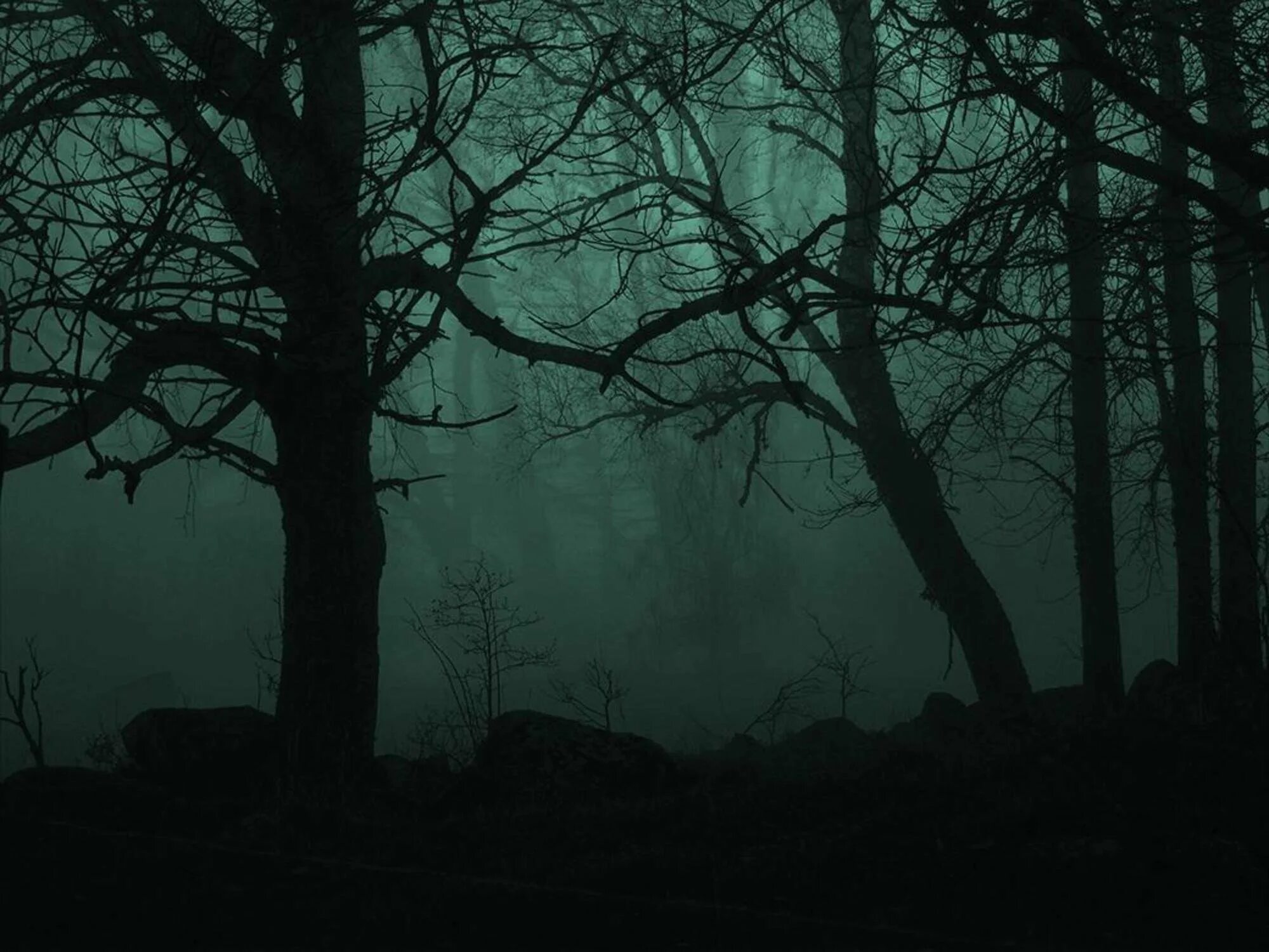 Мрачный никто. Темный лес / the Woods. Темный лес aesthetic. Криппи лес. Страшный лес Эстетика.