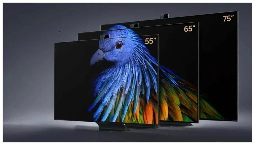 Телевизор xiaomi 65 qled. Телевизор Xiaomi mi TV 6. Телевизор Xiaomi mi TV 6 65 extreme. Xiaomi mi TV 6 extreme Edition 75. QLED Xiaomi mi TV 6 extreme Edition 75.