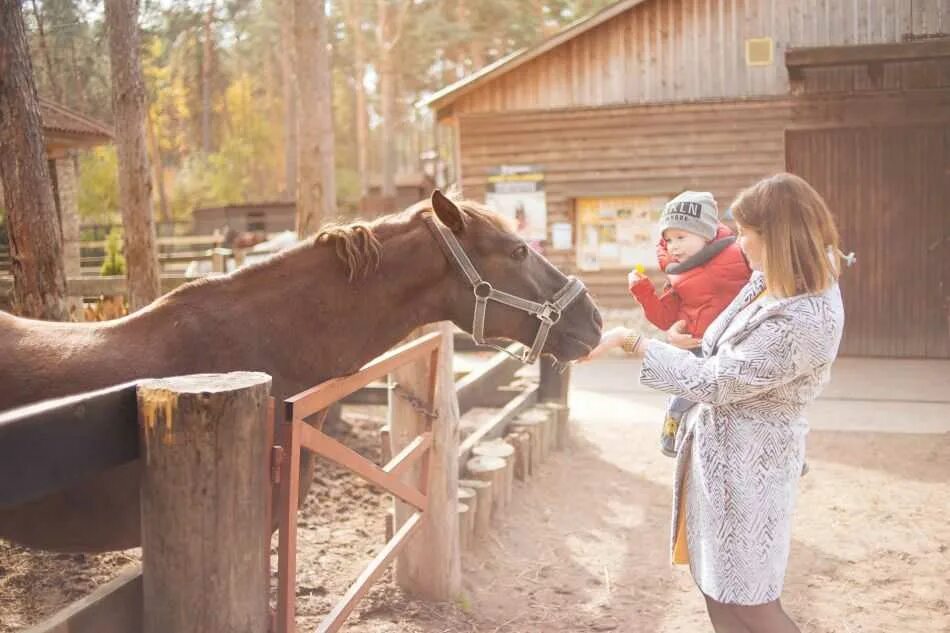 Парк Дракино Серпухов. Парк Дракино Серпуховский район. Дракино парк-отель Серпухов. Таруса парк Дракино. Сайт парка дракино