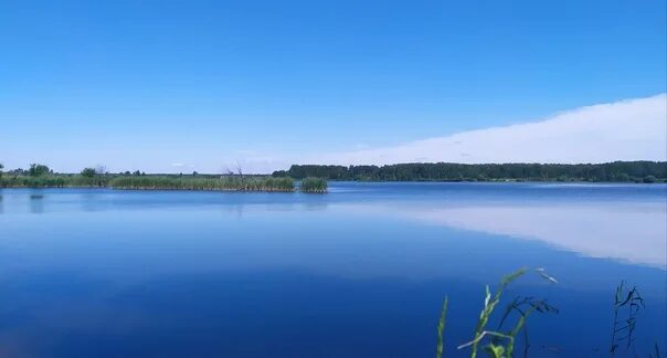 Озеро ковалинское. Озеро архиерейское тарлаши. Деревня чистое озеро казань. Озеро архиерейское тарлаши. Озера татарстана.
