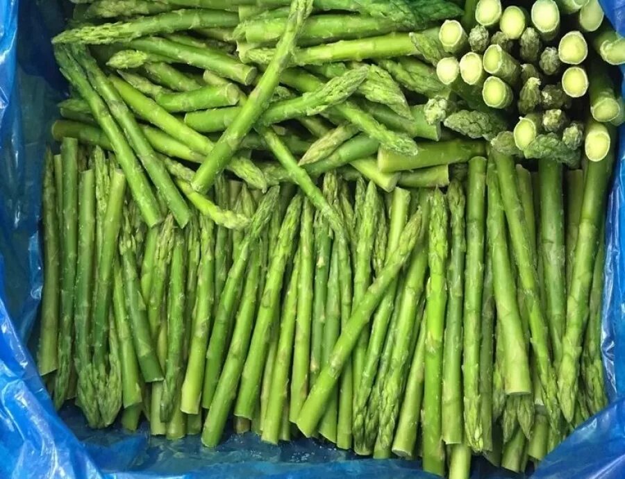 Спаржа на костре. Спаржа свежемороженая 1кг. Спаржа зеленая ardo. Спаржа зеленая (0,5г). Спаржа кружево вкуса.