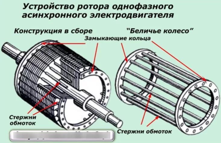 Стержни обмотки ротора асинхронного двигателя. Асинхронный двигатель с короткозамкнутым ротором. Асинхронный электродвигатель с короткозамкнутым ротором. Обмотка ротора двигателя переменного тока. Коротко замкнутый ротор асинхронного.